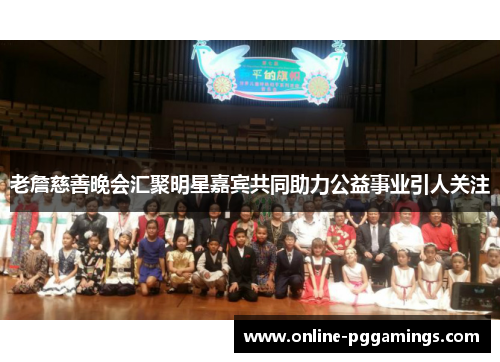 老詹慈善晚会汇聚明星嘉宾共同助力公益事业引人关注