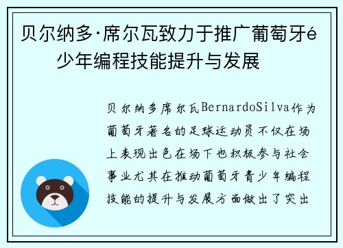 贝尔纳多·席尔瓦致力于推广葡萄牙青少年编程技能提升与发展