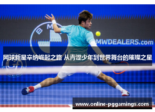 网球新星辛纳崛起之路 从青涩少年到世界舞台的璀璨之星