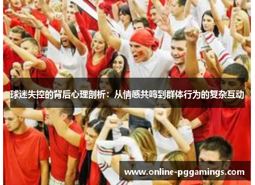 球迷失控的背后心理剖析：从情感共鸣到群体行为的复杂互动