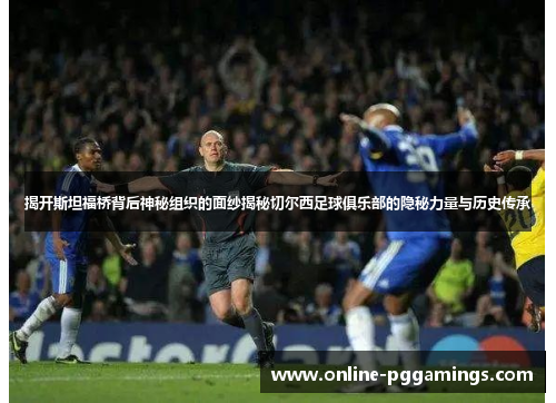 揭开斯坦福桥背后神秘组织的面纱揭秘切尔西足球俱乐部的隐秘力量与历史传承