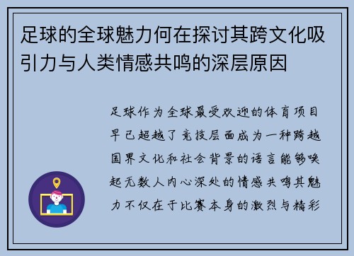 足球的全球魅力何在探讨其跨文化吸引力与人类情感共鸣的深层原因