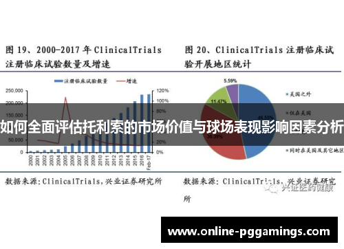 如何全面评估托利索的市场价值与球场表现影响因素分析 如何全面评估托利索的市场价值与球场表现影响因素分析